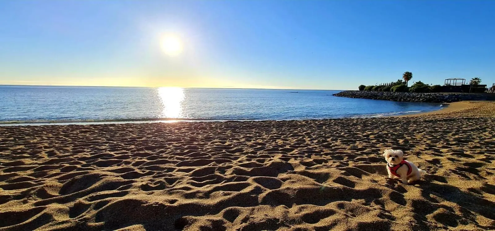 Apartamentos Magic Benalbeach By Benalnova Benalmádena España